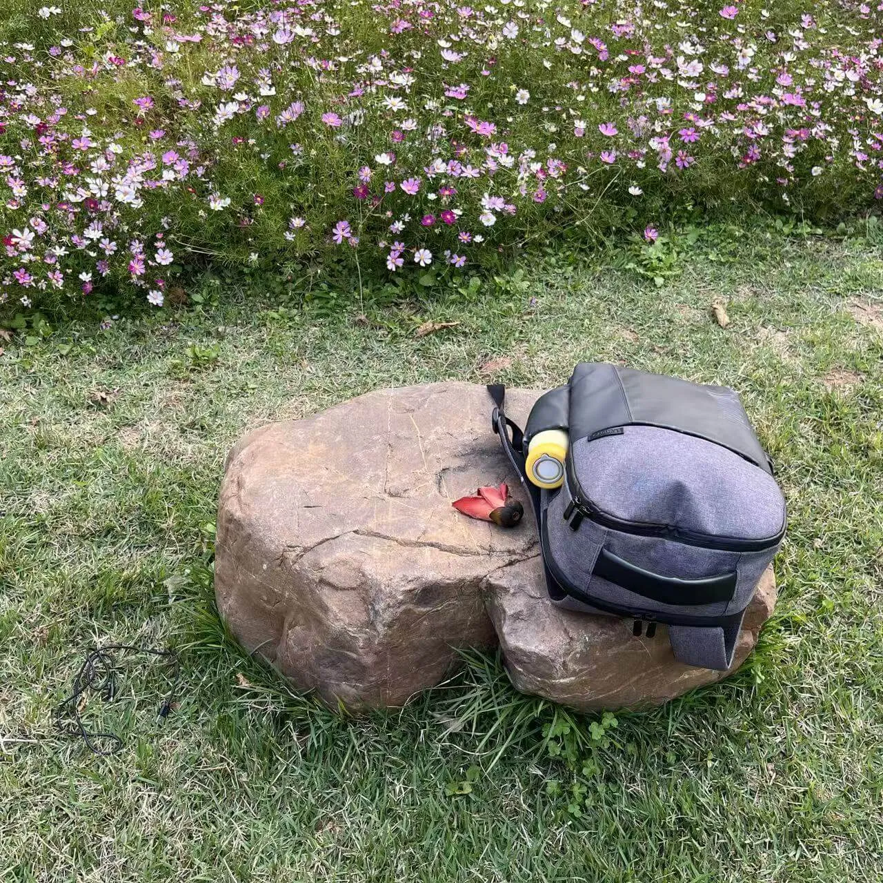 校内图书馆附近的草地