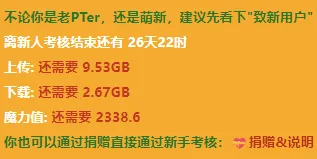 常见的新手考核内容